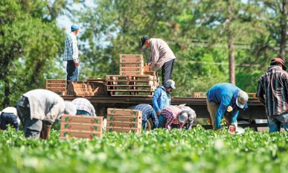 Δόθηκε η έγκριση για 32.500 νέες μετακλήσεις ξένων εργατών – Στις 5.630 οι θέσεις μετακλητών στο Νότιο Αιγαίο